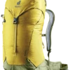 Deuter AC Lite 24 Turmeric