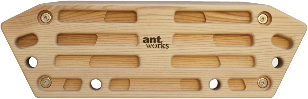 Strong Ant 3 3 Strong Ant 3