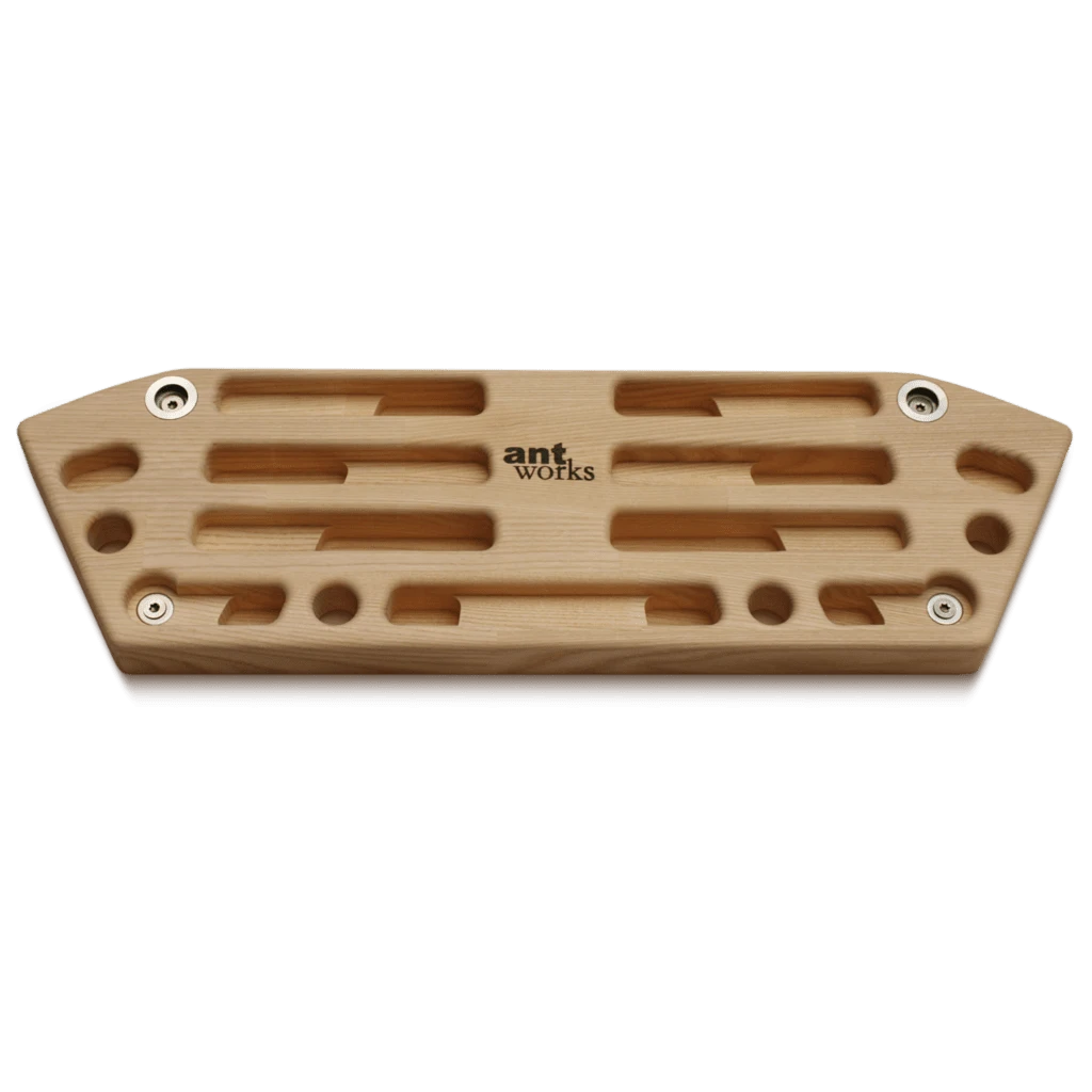 Strong Ant 3 5 Strong Ant 3 – Bild 3