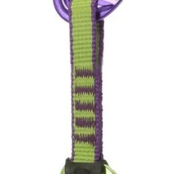 Wild Country Session Quickdraw - 12 Cm Purple Green